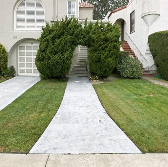 Interesting Tree Design (14 pics)