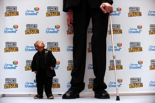 And Finally They Have Met … (7 pics)
