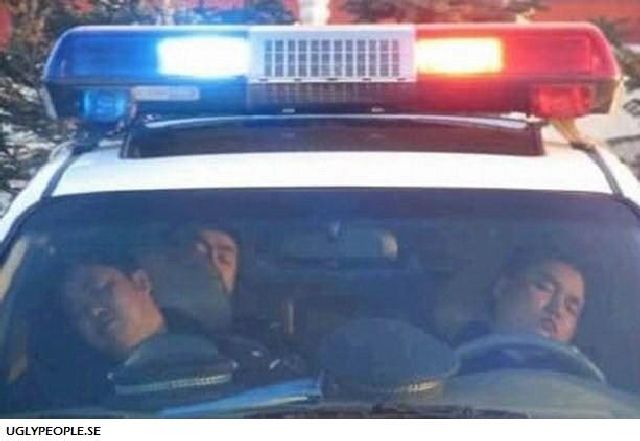 Cops’ Fails (70 pics)