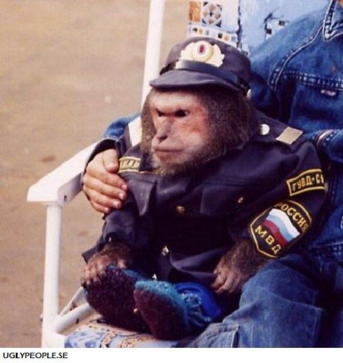 Cops’ Fails (70 pics)