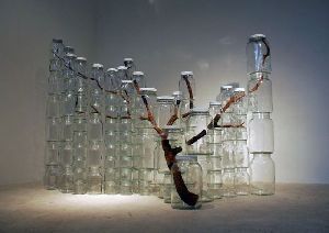 Curiosities and Bonus Pictures