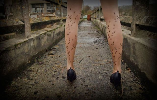 Des collants insolites (17 photos)