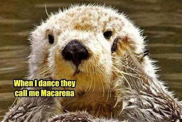 Cheerful Music Post about Macarena (4 images + 1 song)