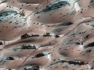 Curiosities and Bonus Pictures