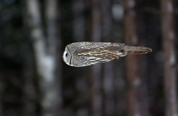 Let the Time Freeze (8 pics + 10 gifs)