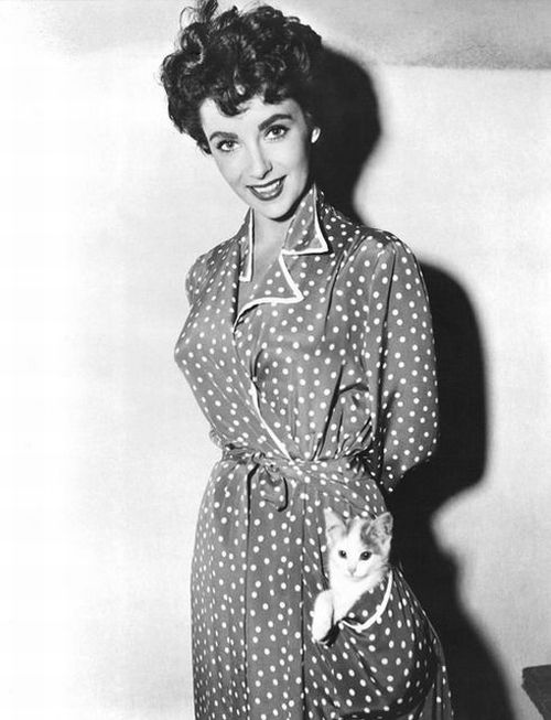 Rare Photographs of Celebrities (125 pics)