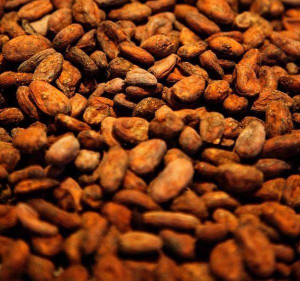 How Chocolate Is Made (65 pics)