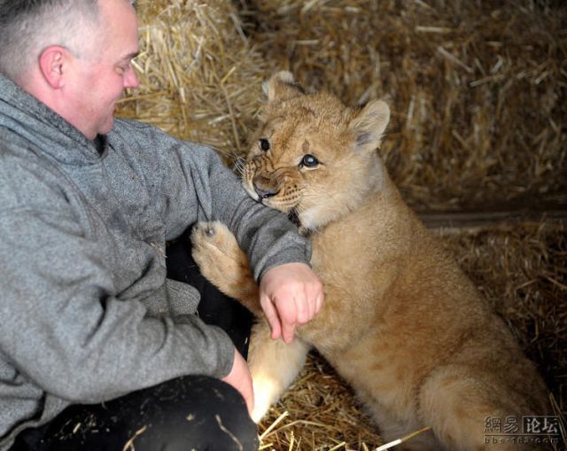 Positive Emotion of the Day. True Friends (9 pics)