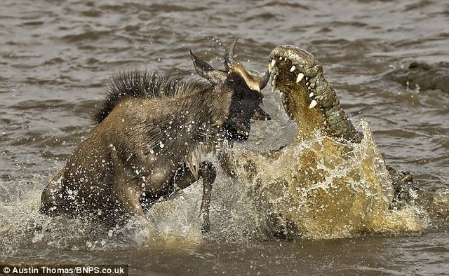 Timing Is Everything (5 pics)