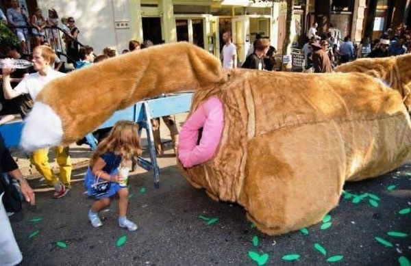 Daily picdump (102 pics)