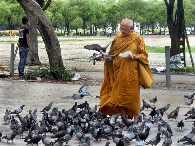 Daily picdump (102 pics)