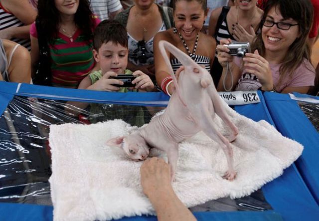 Daily picdump (102 pics)