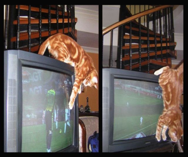 Daily picdump (102 pics)