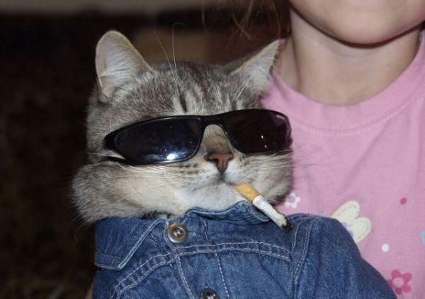 Daily picdump (102 pics)