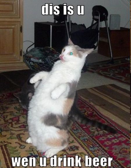 Daily picdump (102 pics)