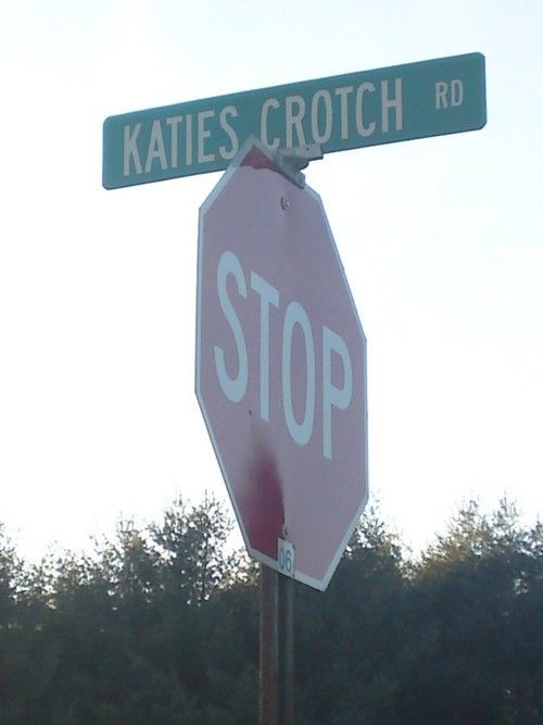 Daily picdump (102 pics)