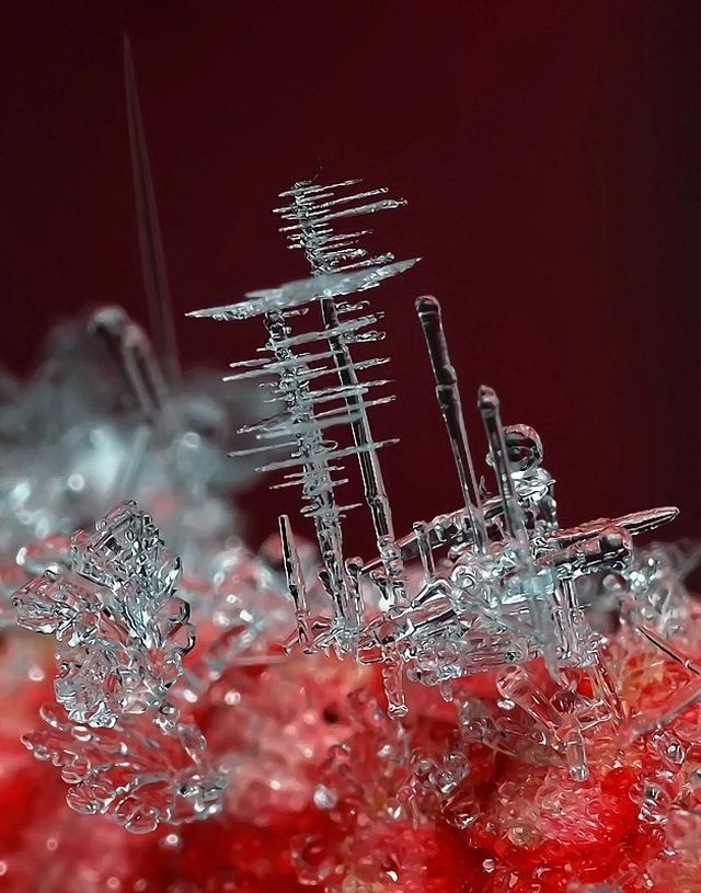 The marvels of Winter (26 pics)