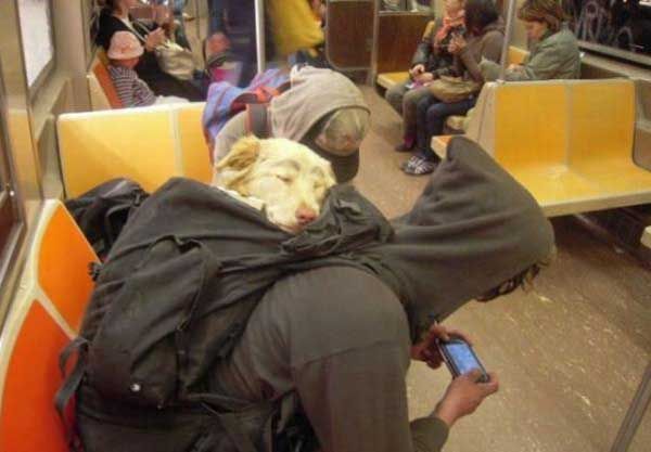 Daily picdump (120 pics)