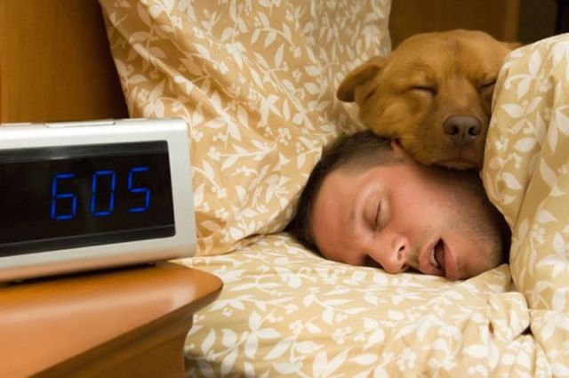Daily picdump (120 pics)