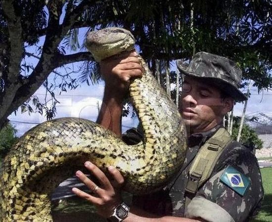 Daily picdump (120 pics)