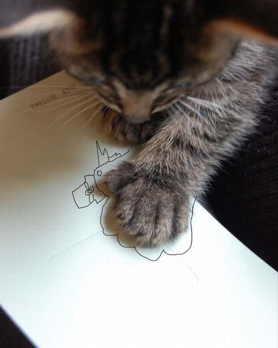 Daily picdump (120 pics)