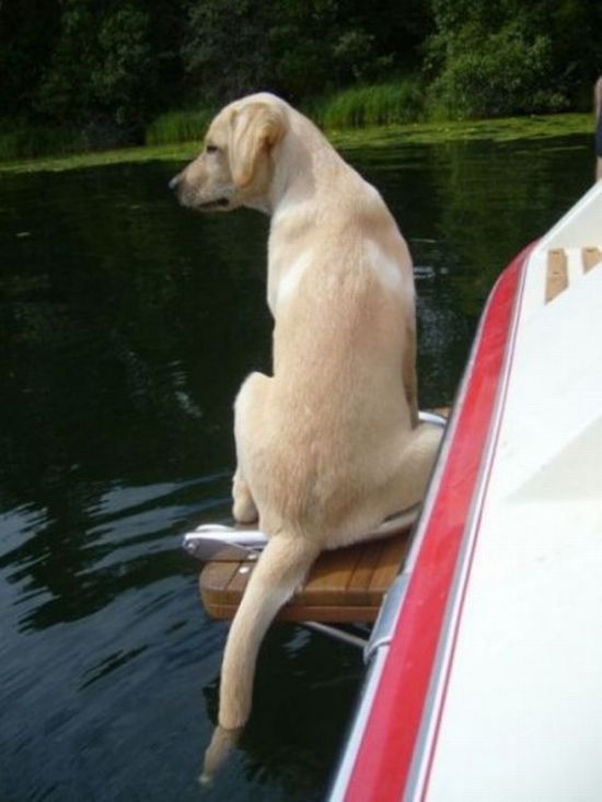 Daily picdump (120 pics)