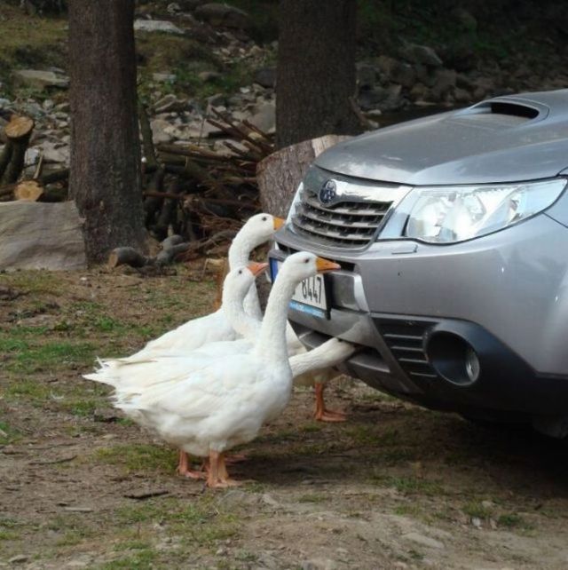 Daily picdump (120 pics)