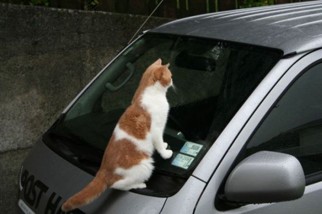 Daily picdump (120 pics)