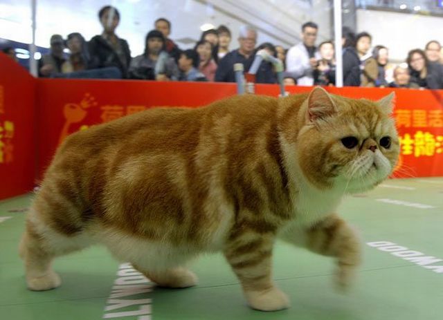 Daily picdump (120 pics)