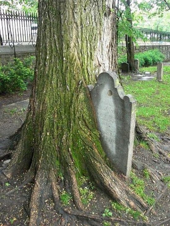 Daily picdump (120 pics)
