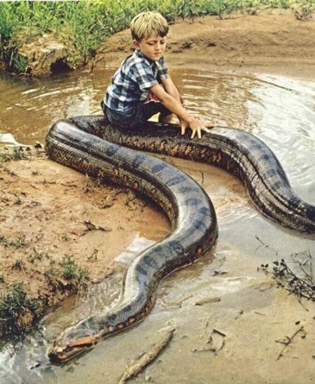 Daily picdump (120 pics)