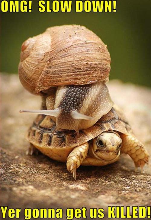 Daily picdump (136 pics)