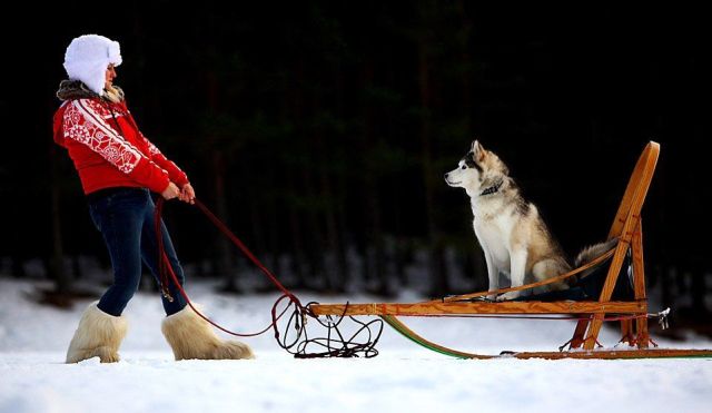 Daily picdump (136 pics)