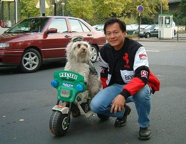 Daily picdump (136 pics)