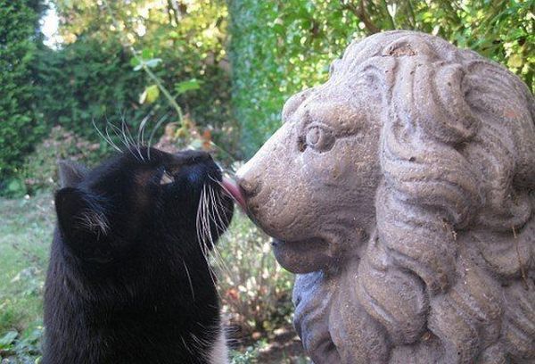 Daily picdump (136 pics)