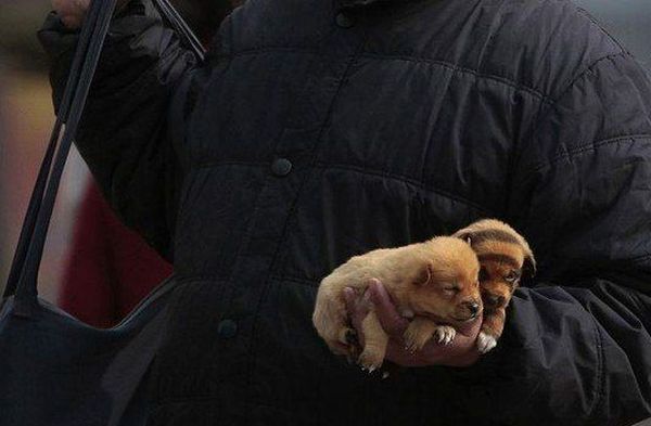 Daily picdump (136 pics)