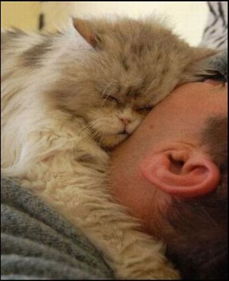 Daily picdump (136 pics)