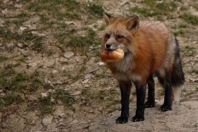 Daily picdump (136 pics)