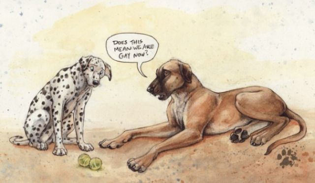 Daily picdump (136 pics)