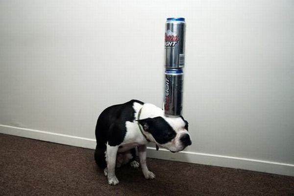 Daily picdump (136 pics)