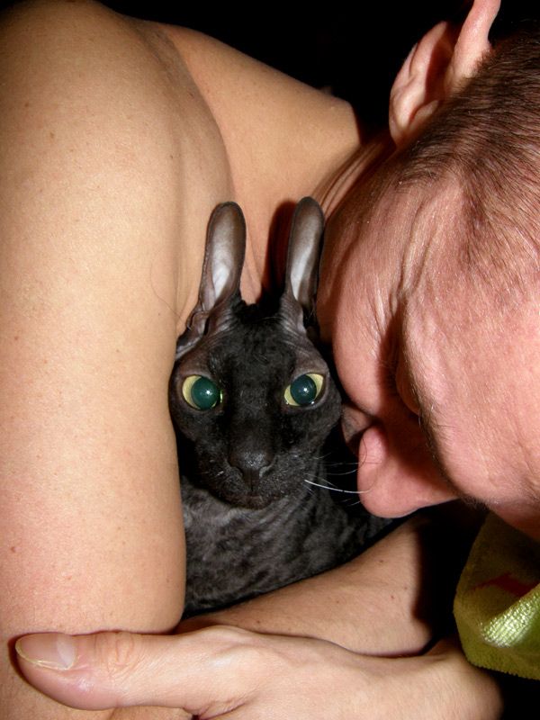 Daily picdump (136 pics)