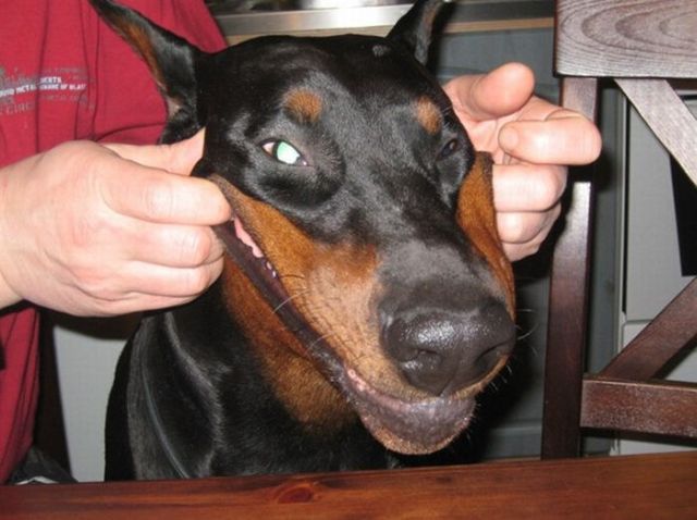 Daily picdump (136 pics)