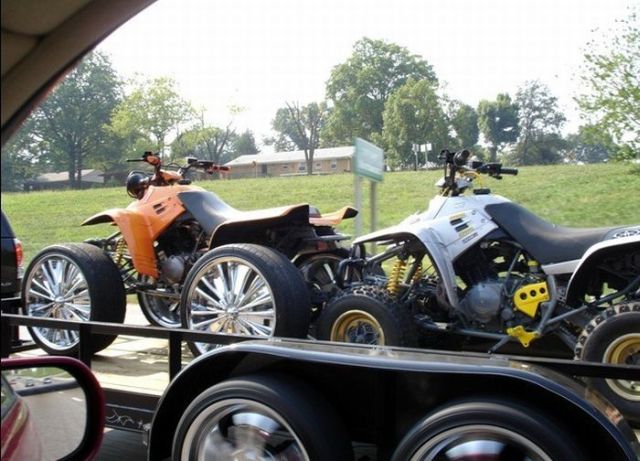 Daily picdump (136 pics)