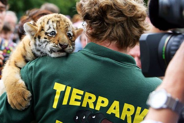 Daily picdump (136 pics)