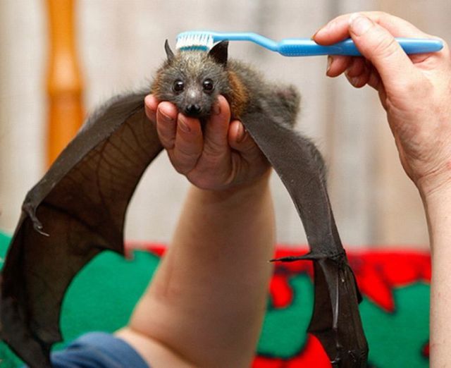 Daily picdump (136 pics)