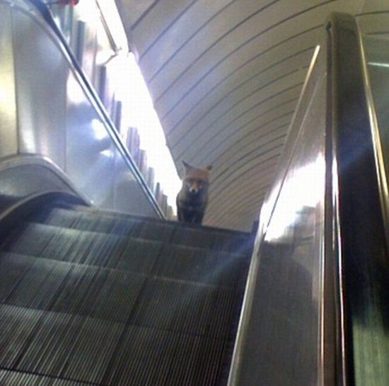 Daily picdump (136 pics)