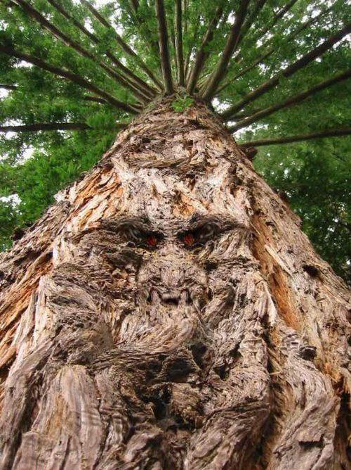 Daily picdump (136 pics)