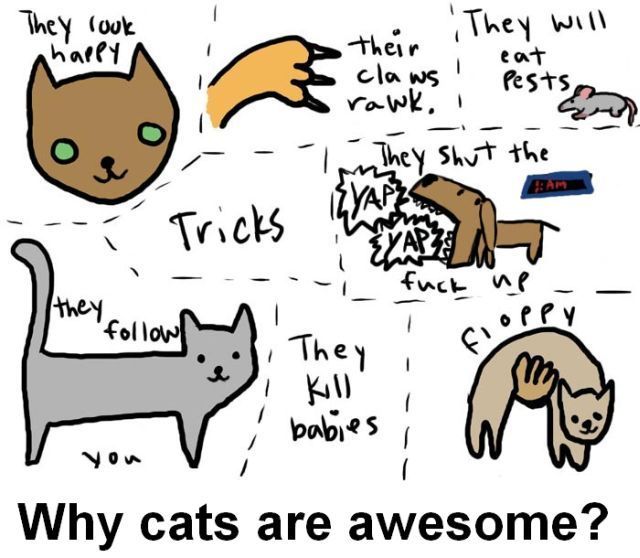 Daily picdump (136 pics)