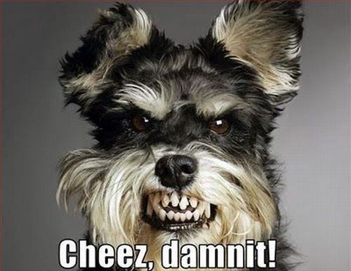 Daily picdump (136 pics)