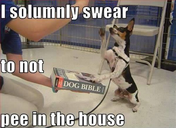 Daily picdump (148 pics)